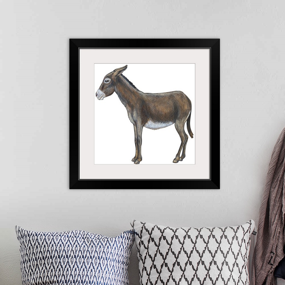 A bohemian room featuring Donkey (Equus Asinus)