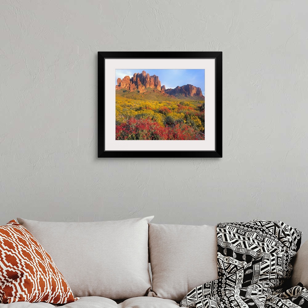 A bohemian room featuring Chuparosa and Brittlebush, Superstition Mountains, Arizona