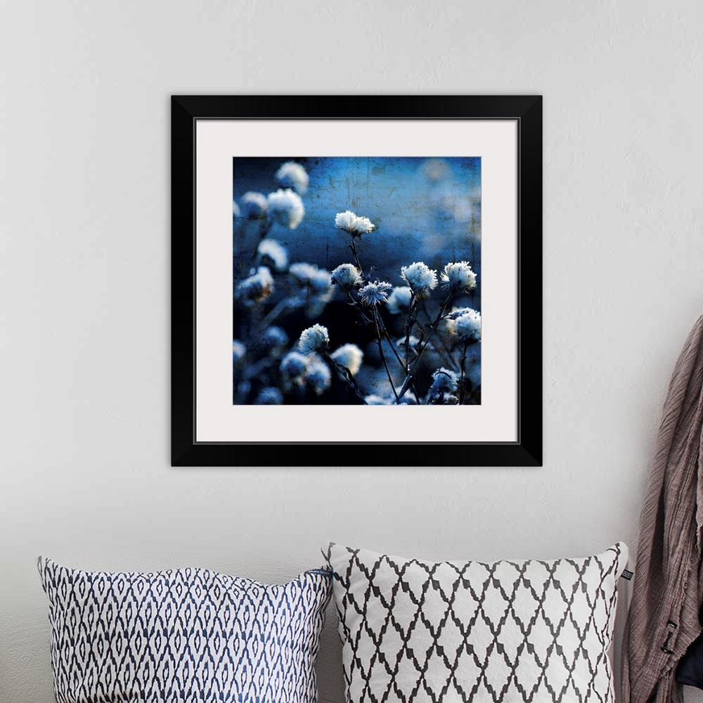 A bohemian room featuring A fine art photograph of flower blossoms that have been given a cool hued tint and a distress tex...