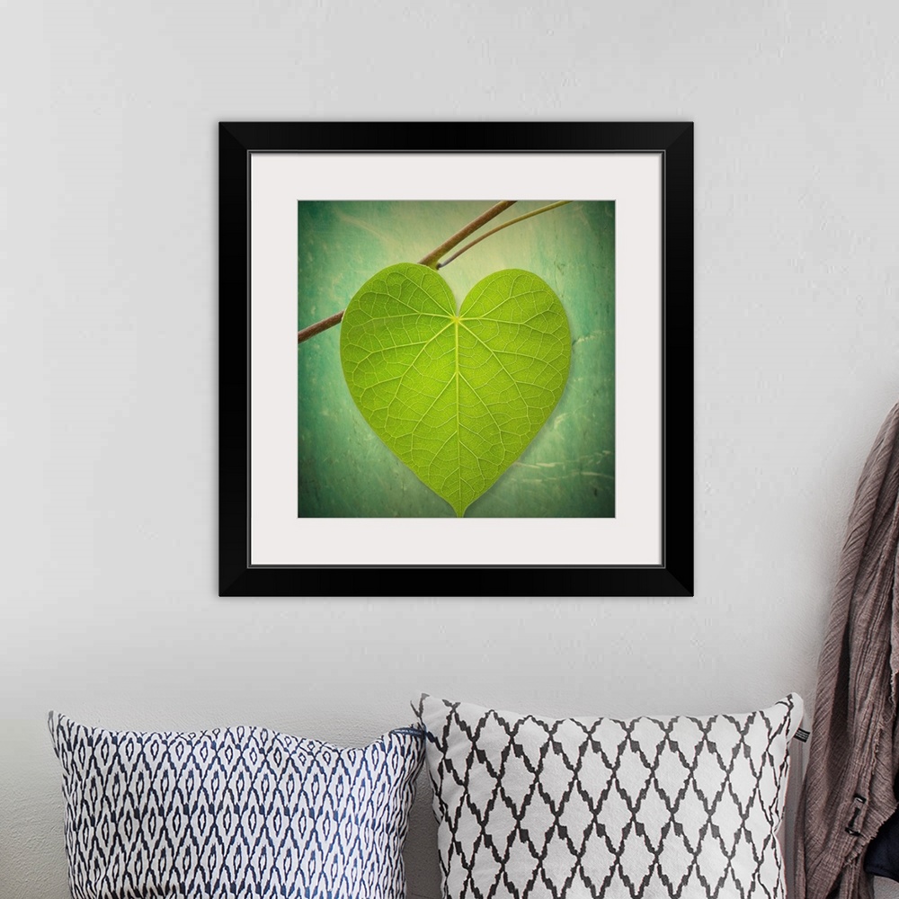 A bohemian room featuring This decorative accent is a photograph of single leaf shaped like a heart on a twig against an ou...