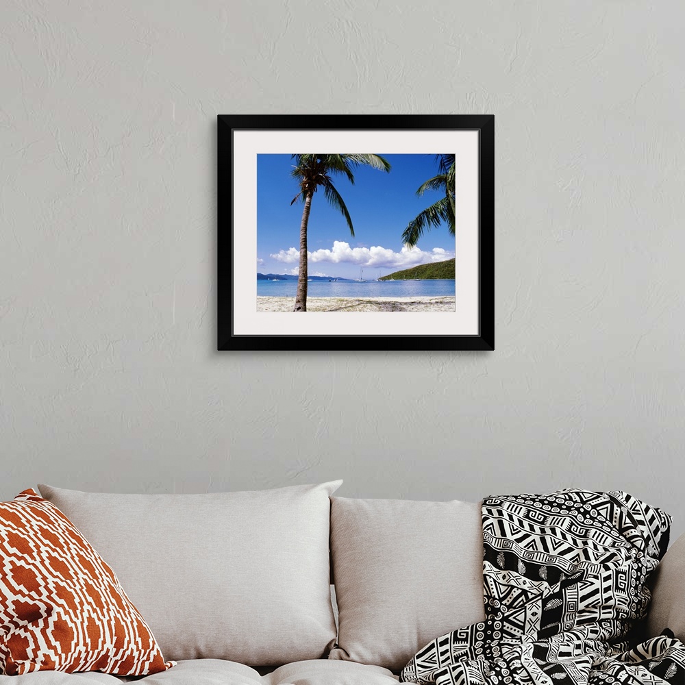 A bohemian room featuring In this photograph palm trees on a beach in the foreground look out over sailboats at sea and clo...