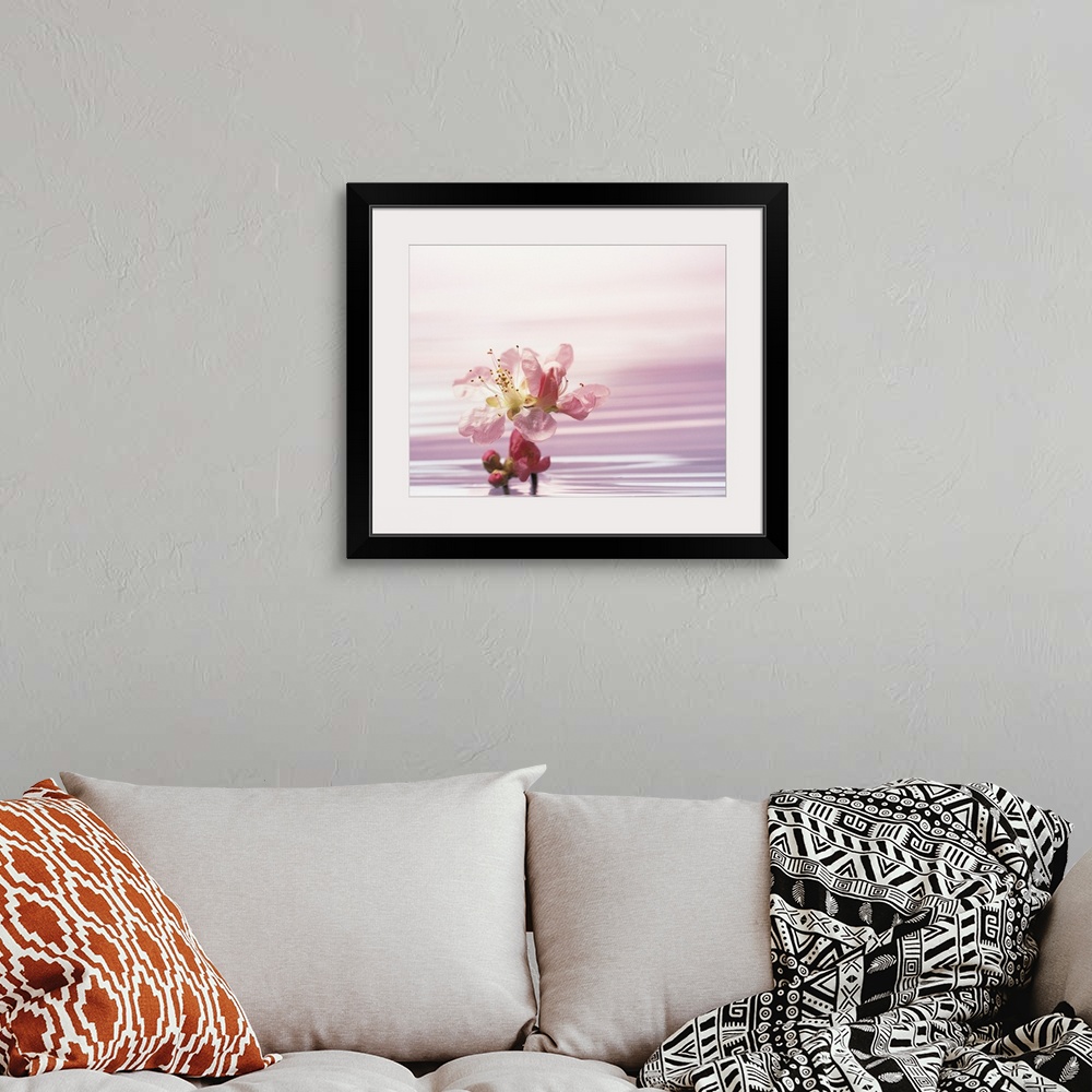 A bohemian room featuring Flower standing in pink water