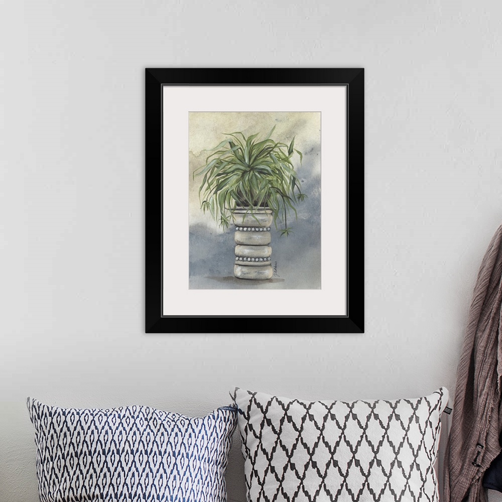 A bohemian room featuring Spider Plant In Pottery