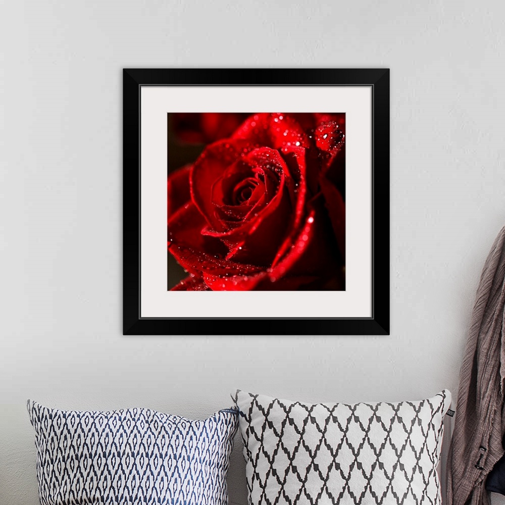 A bohemian room featuring The Bokeh Rose