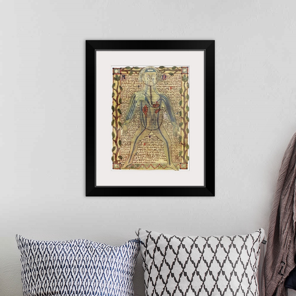A bohemian room featuring Circulatory system. Historical artwork of a human figure with internal organs and blood vessels s...