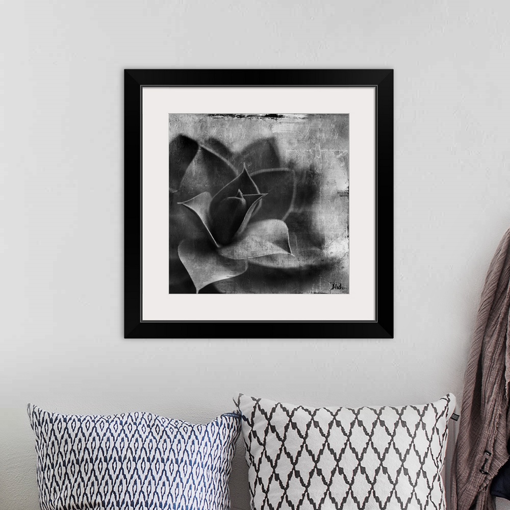 A bohemian room featuring Black and white artwork of a succulent plant with textured accents.