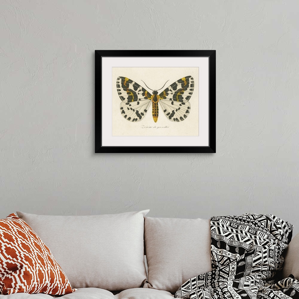 A bohemian room featuring Natures Butterfly IV