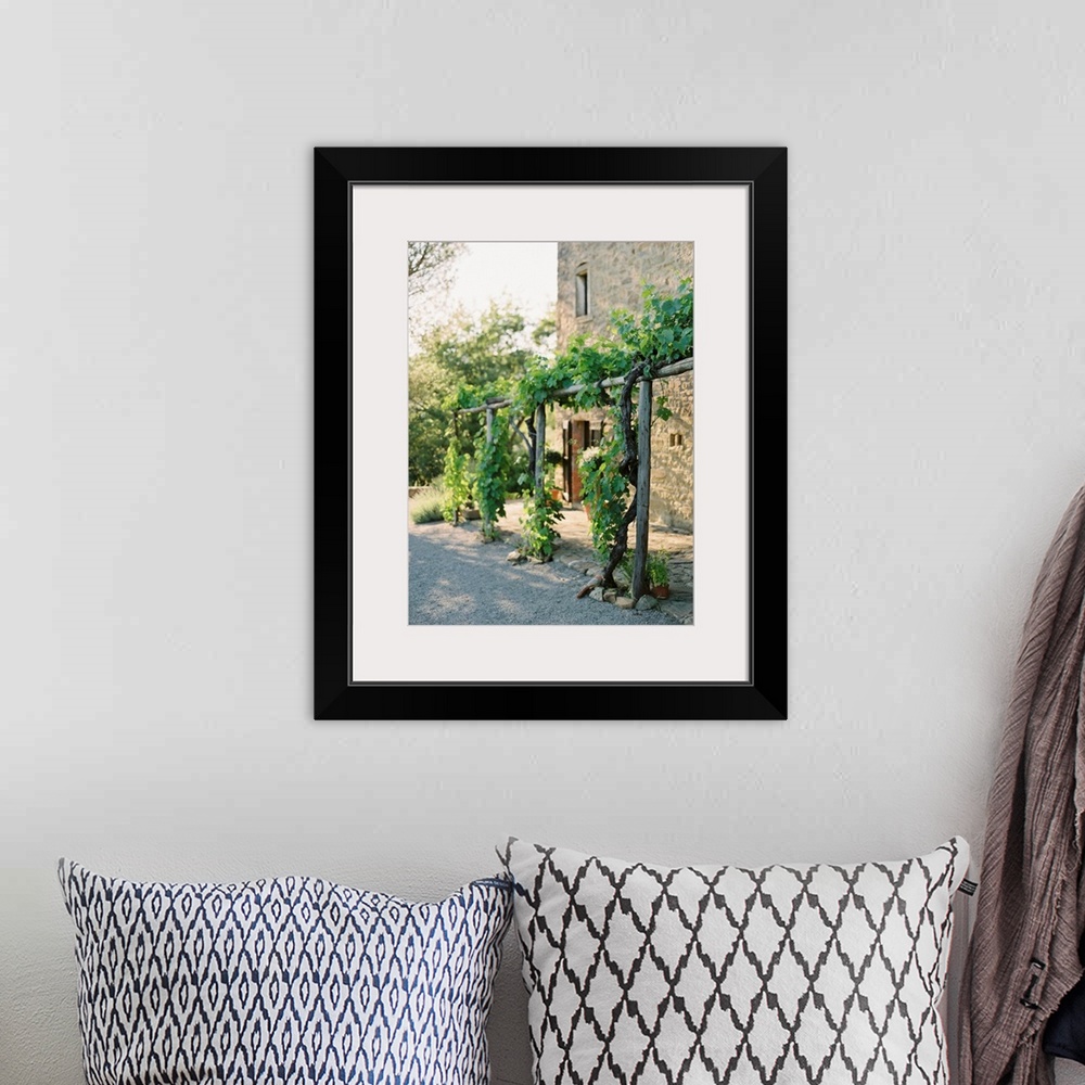A bohemian room featuring A photograph of grape vines growing on a wooden arbor outside of a Tuscan residence.