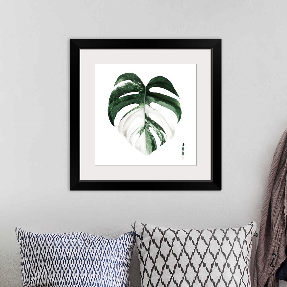 A bohemian room featuring Variegated Monstera I