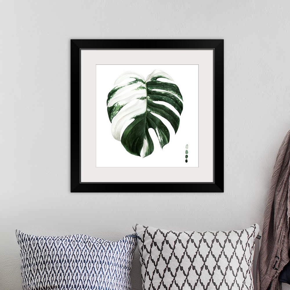 A bohemian room featuring Variegated Monstera II