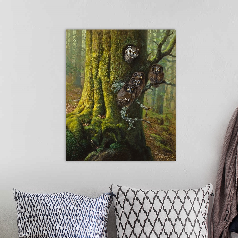 A bohemian room featuring Owls in a tree.