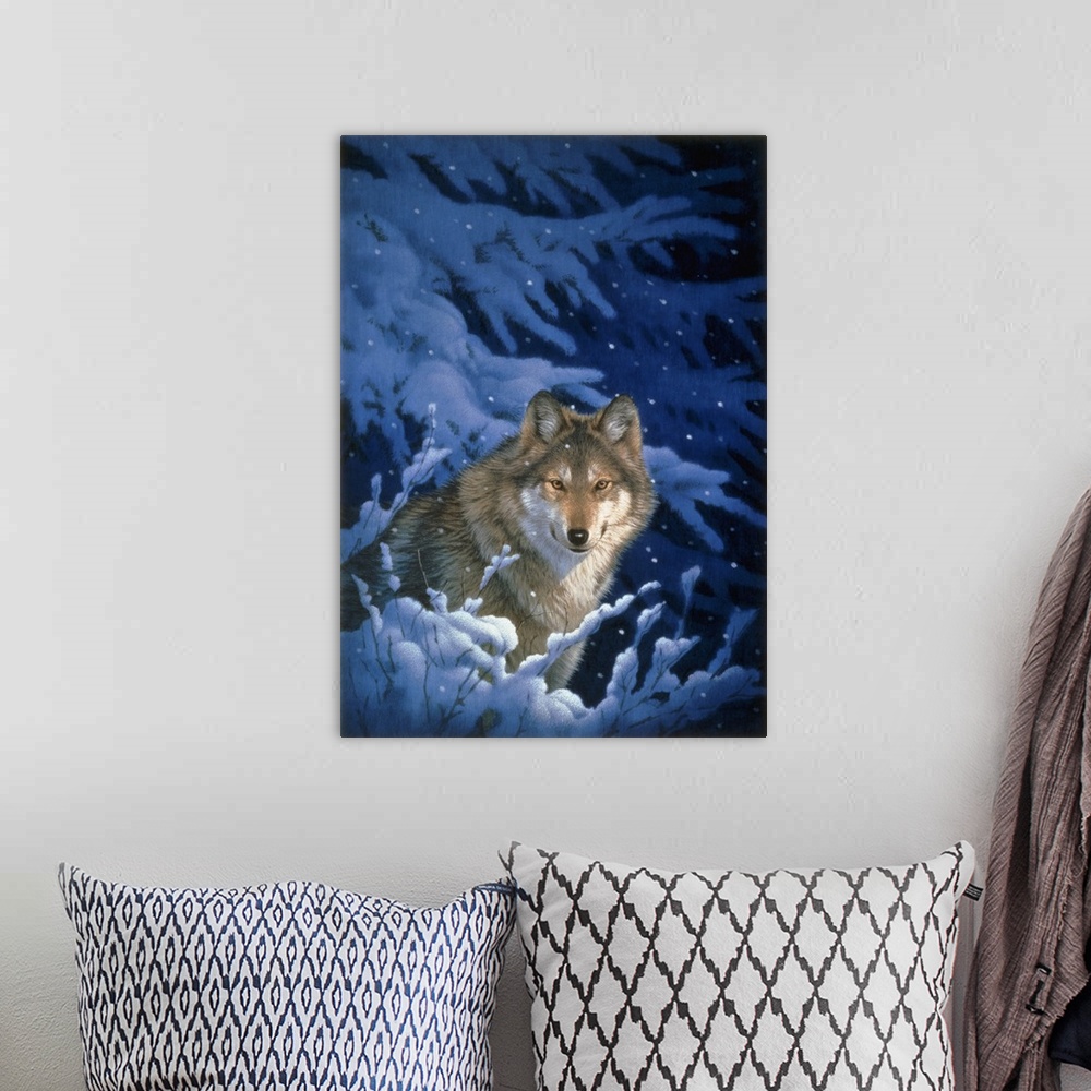 A bohemian room featuring A wolf comes out from under a snow-covered pine tree.