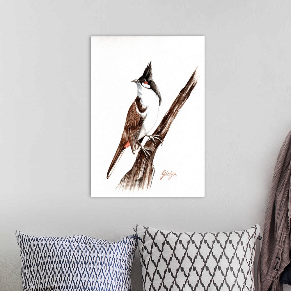 A bohemian room featuring The red-whiskered bulbul is has brown upper-parts and whitish underparts with buff flanks and a d...