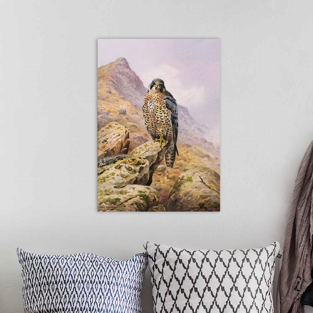 A bohemian room featuring Peregrine Falcon