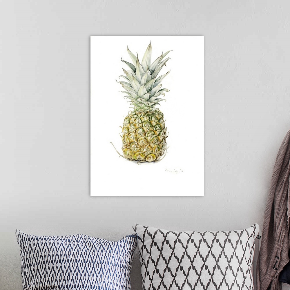 A bohemian room featuring Ripe Pineapple, watercolour, 2016.