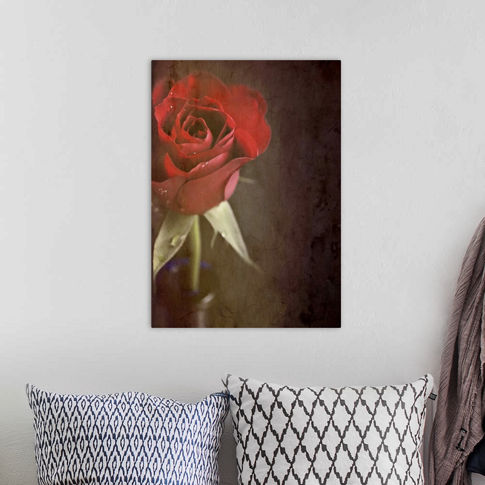 A bohemian room featuring Crop of a red rose in blue vase with texture.