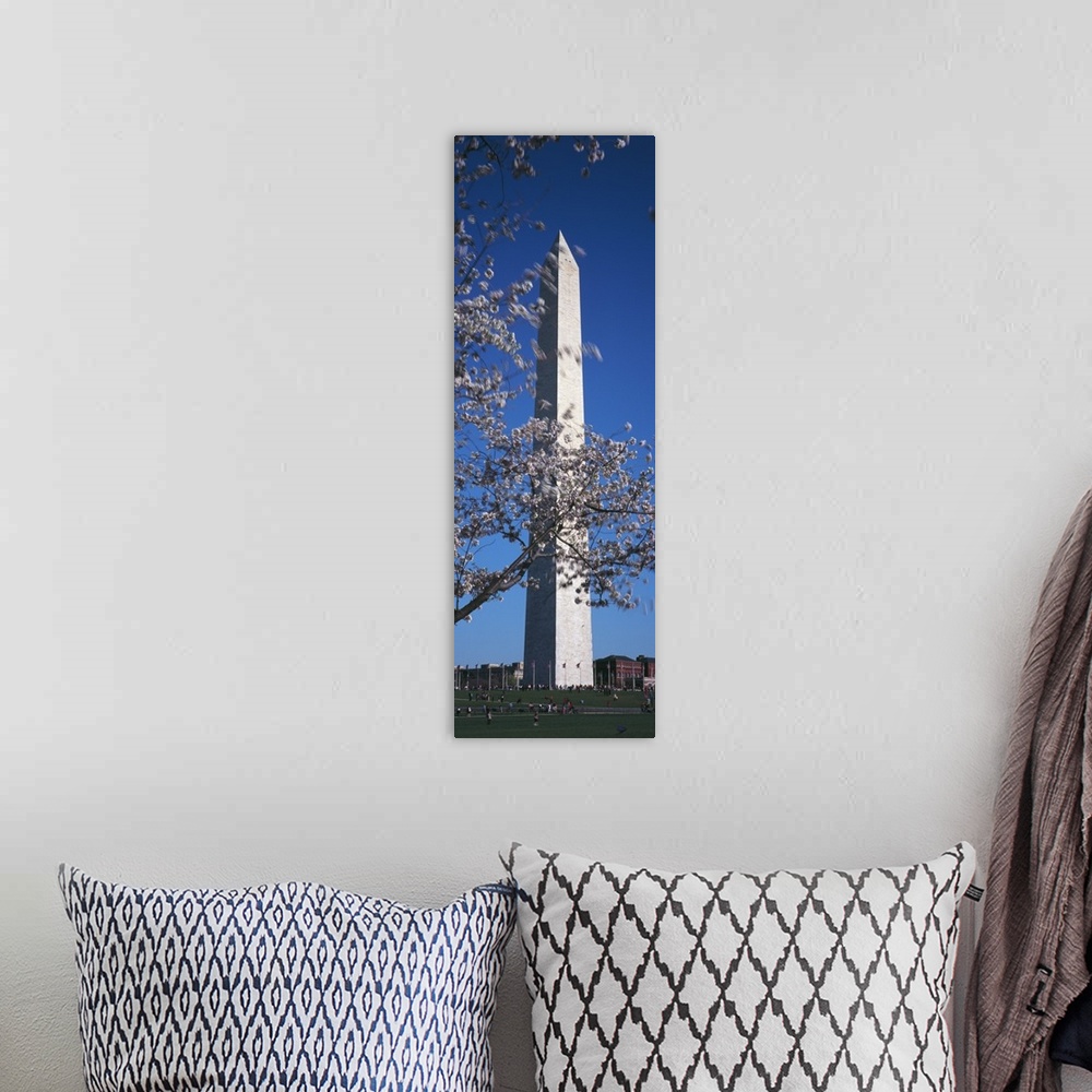 A bohemian room featuring Cherry Blossom in front of an obelisk Washington Monument Washington DC