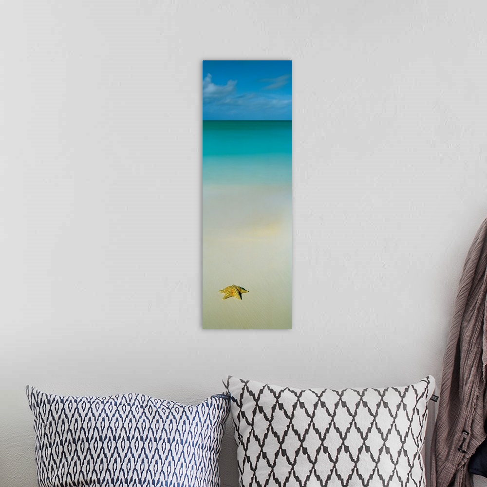 A bohemian room featuring Starfish on the beach, cat island, bahamas.