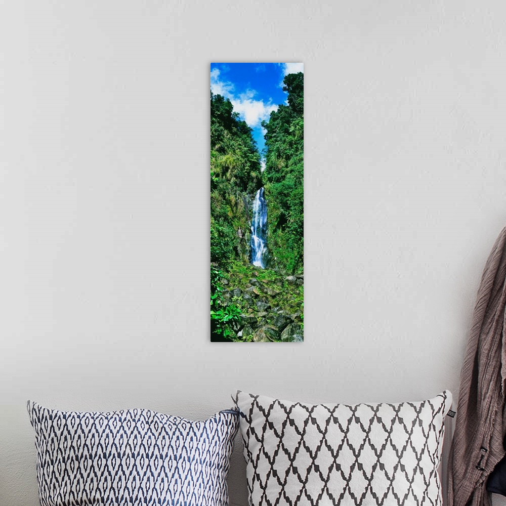 A bohemian room featuring Waterfall in a forest, Father Falls, Trafalgar Falls, Domenica, Caribbean
