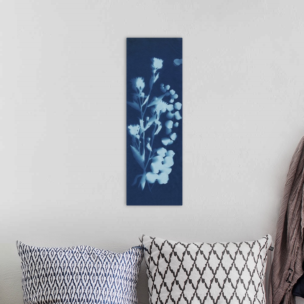 A bohemian room featuring A blueprint style cyanotype photograph of a plant.