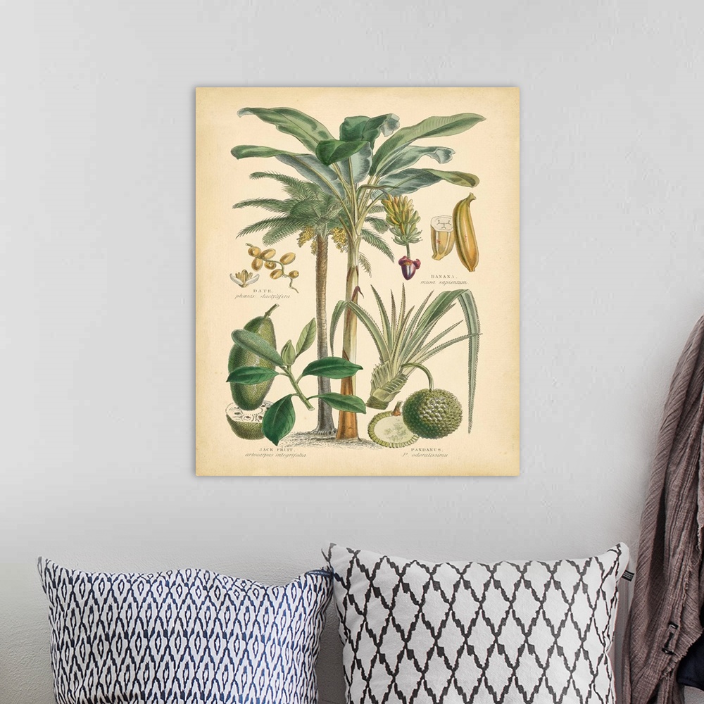 A bohemian room featuring Fruitful Palm II