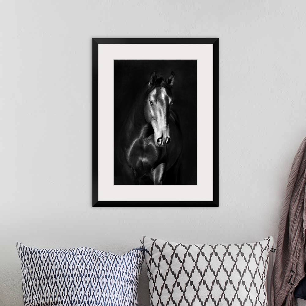 A bohemian room featuring Black kladruby horse portrait on a dark background.