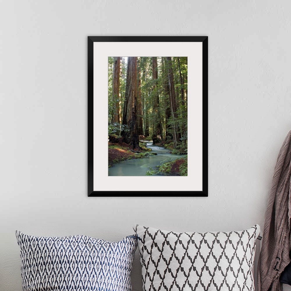 A bohemian room featuring Redwood Forest III