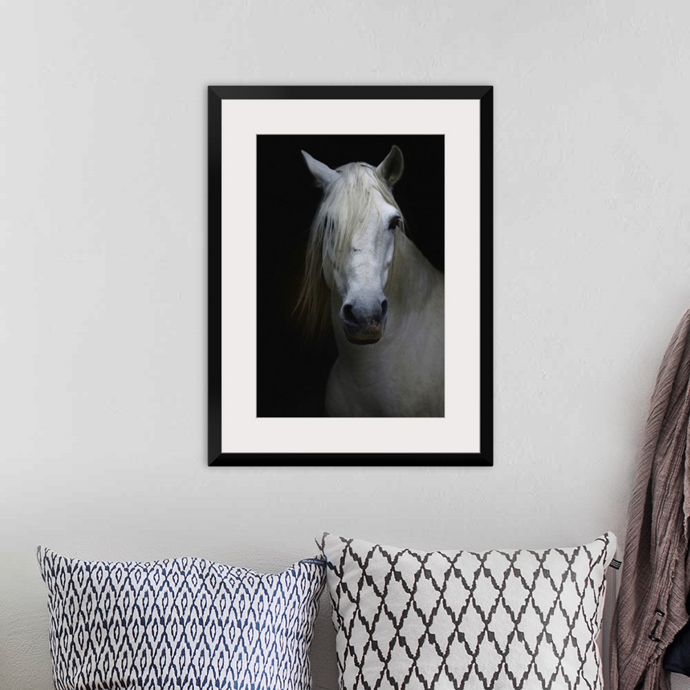 A bohemian room featuring White horse in shadow