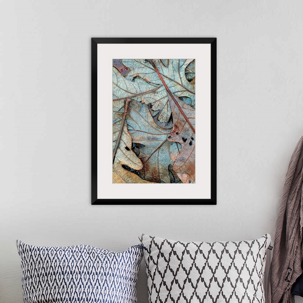 A bohemian room featuring Up-close vertical panoramic photograph of soaked leaves showing their outline and veins.