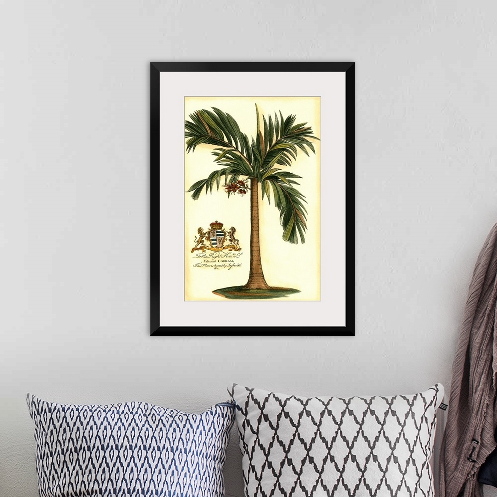 A bohemian room featuring British Colonial Palm I