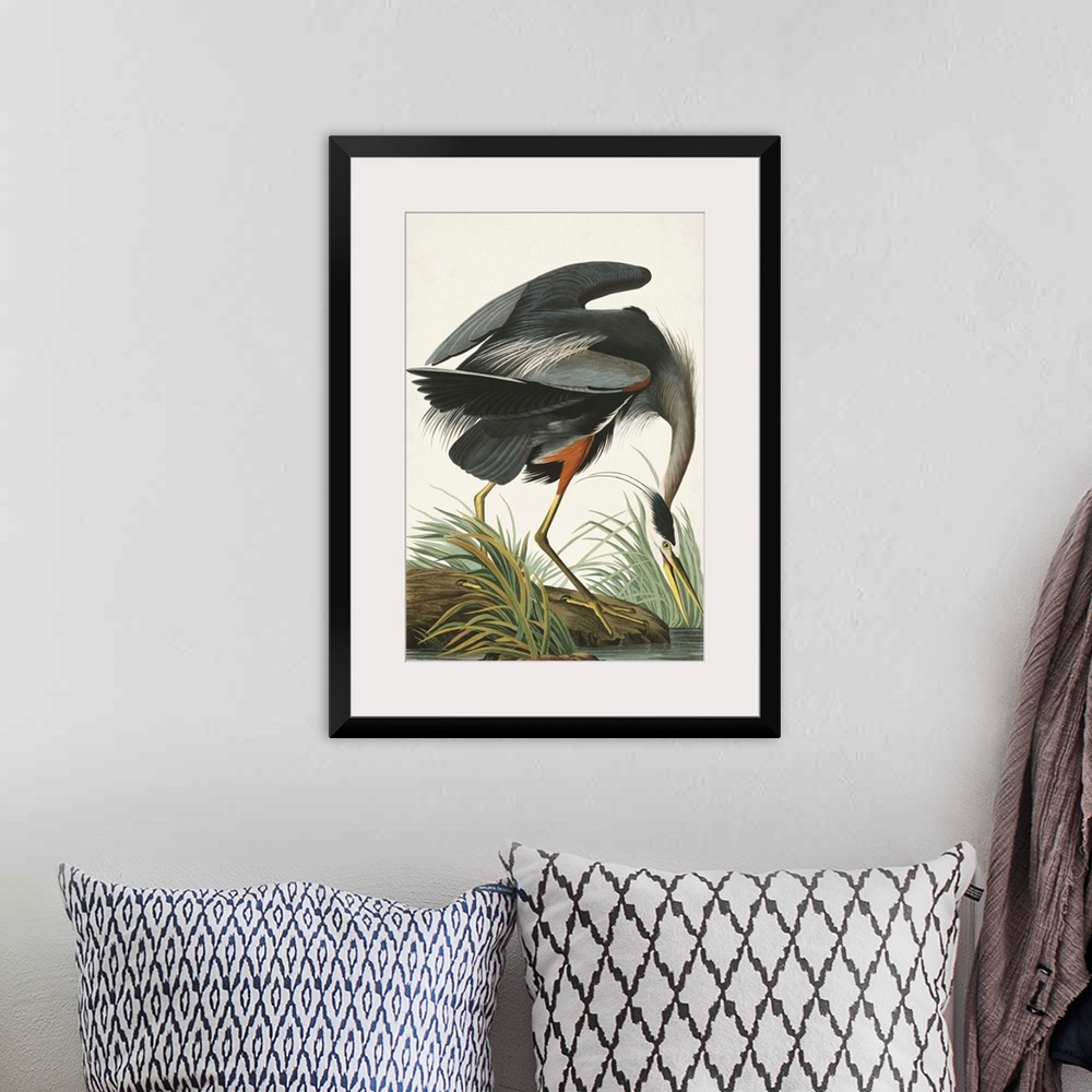 A bohemian room featuring Great Blue Heron