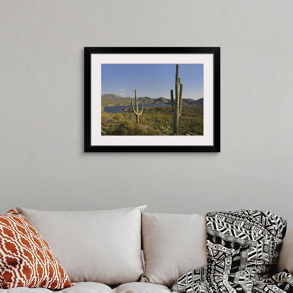 A bohemian room featuring Saguaro (Carnegiea gigantea) cactus at Bartlett Lake, Arizona