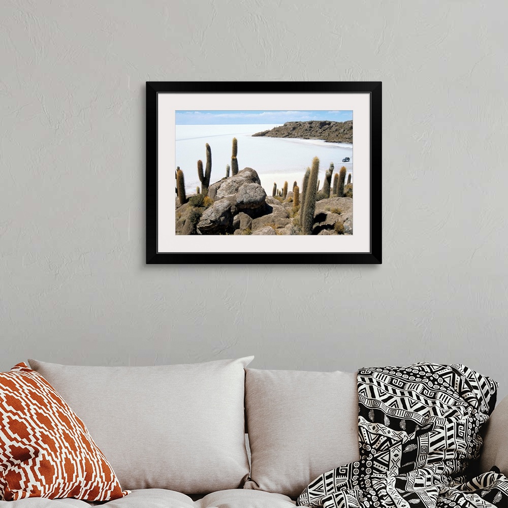 A bohemian room featuring Cacti on Isla de los Pescadores, and salt flats, Bolivia