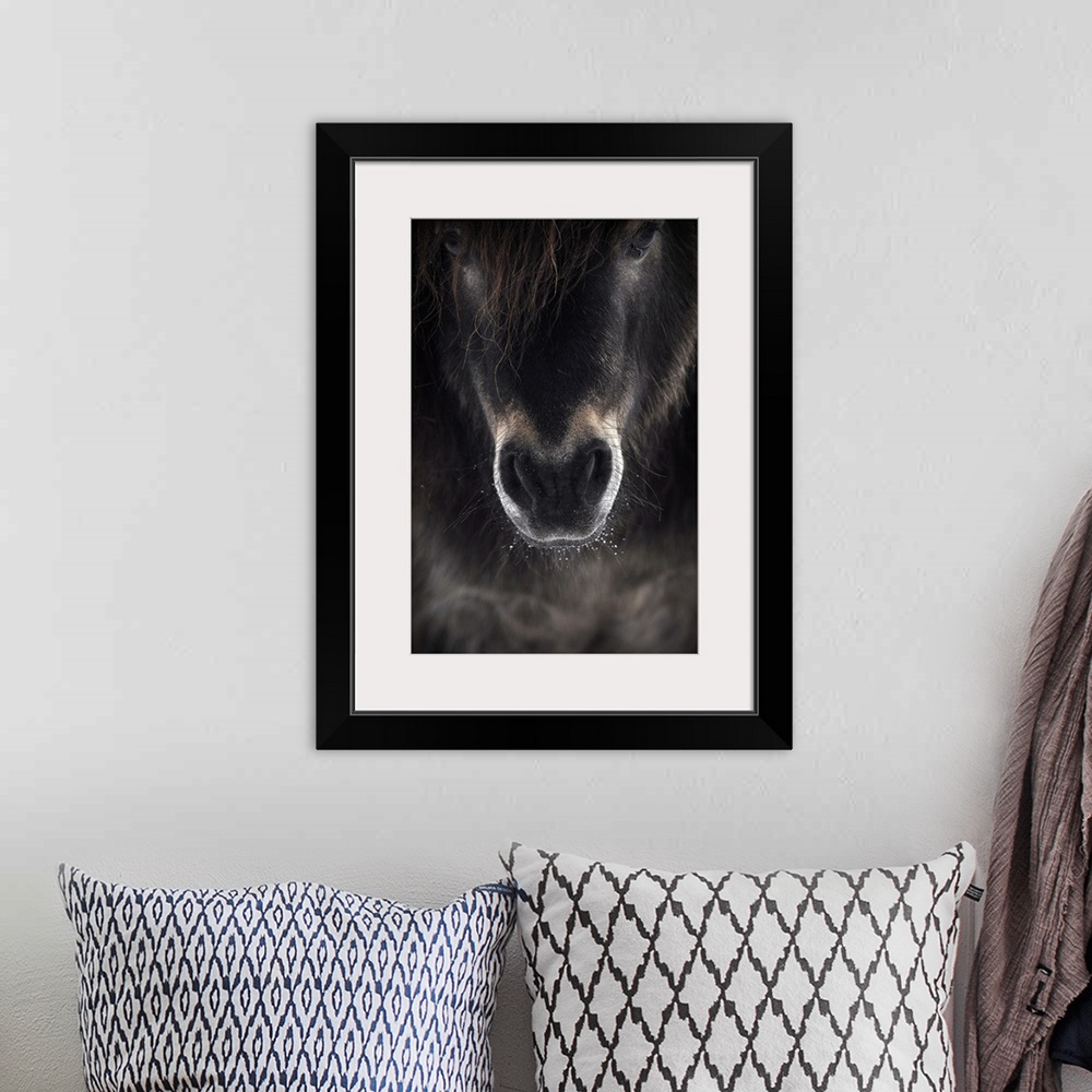 A bohemian room featuring Portrait of a horse with beads of water on its whiskers by its mouth.