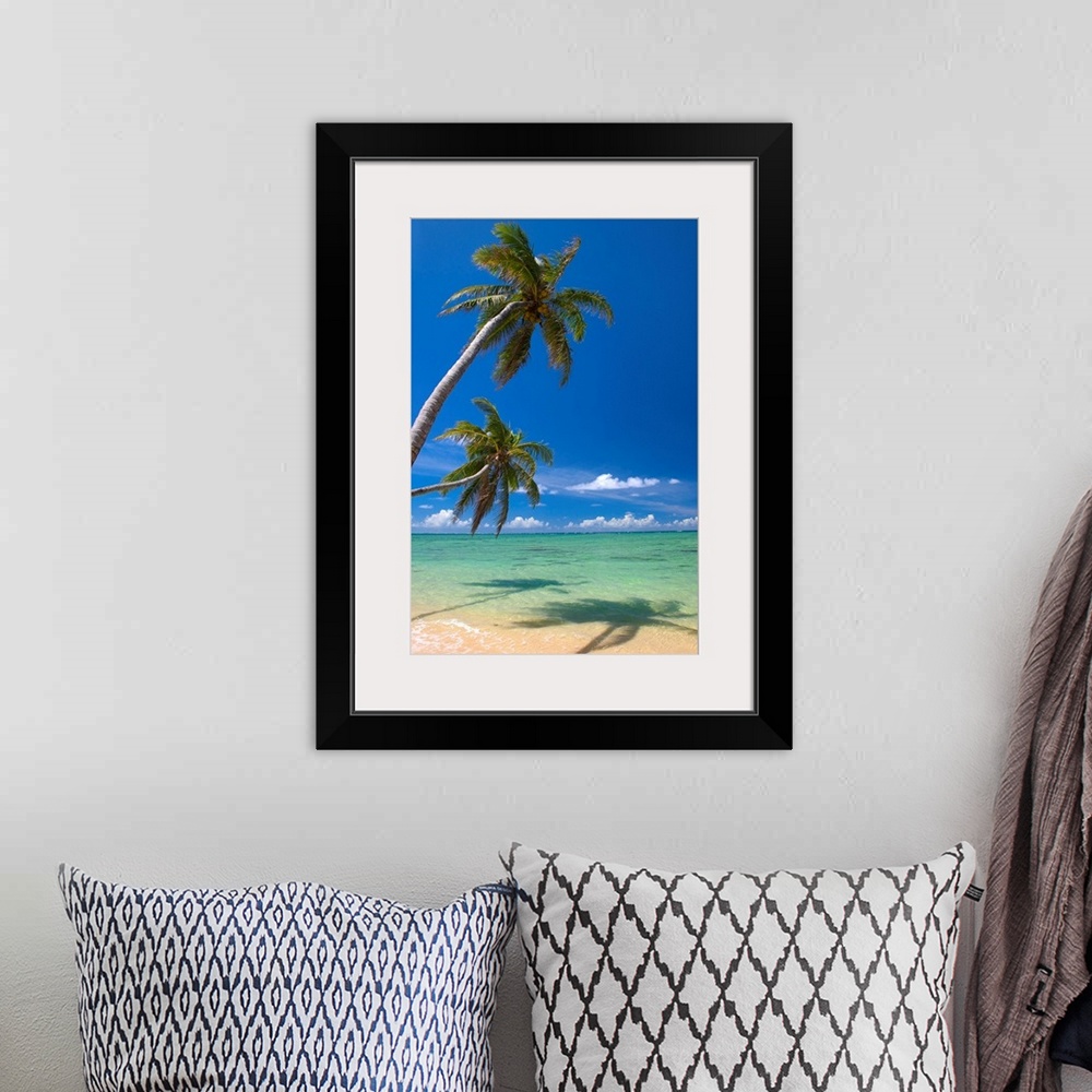 A bohemian room featuring Palm Trees Lean And Cast Shadow On Beach With Turquoise Ocean