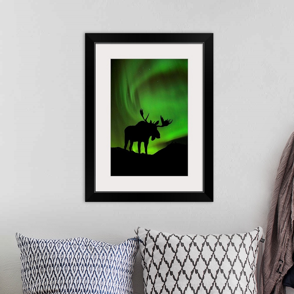 A bohemian room featuring Silhouette of Moose with green Aurora Borealis behind it, Interior, Alaska
