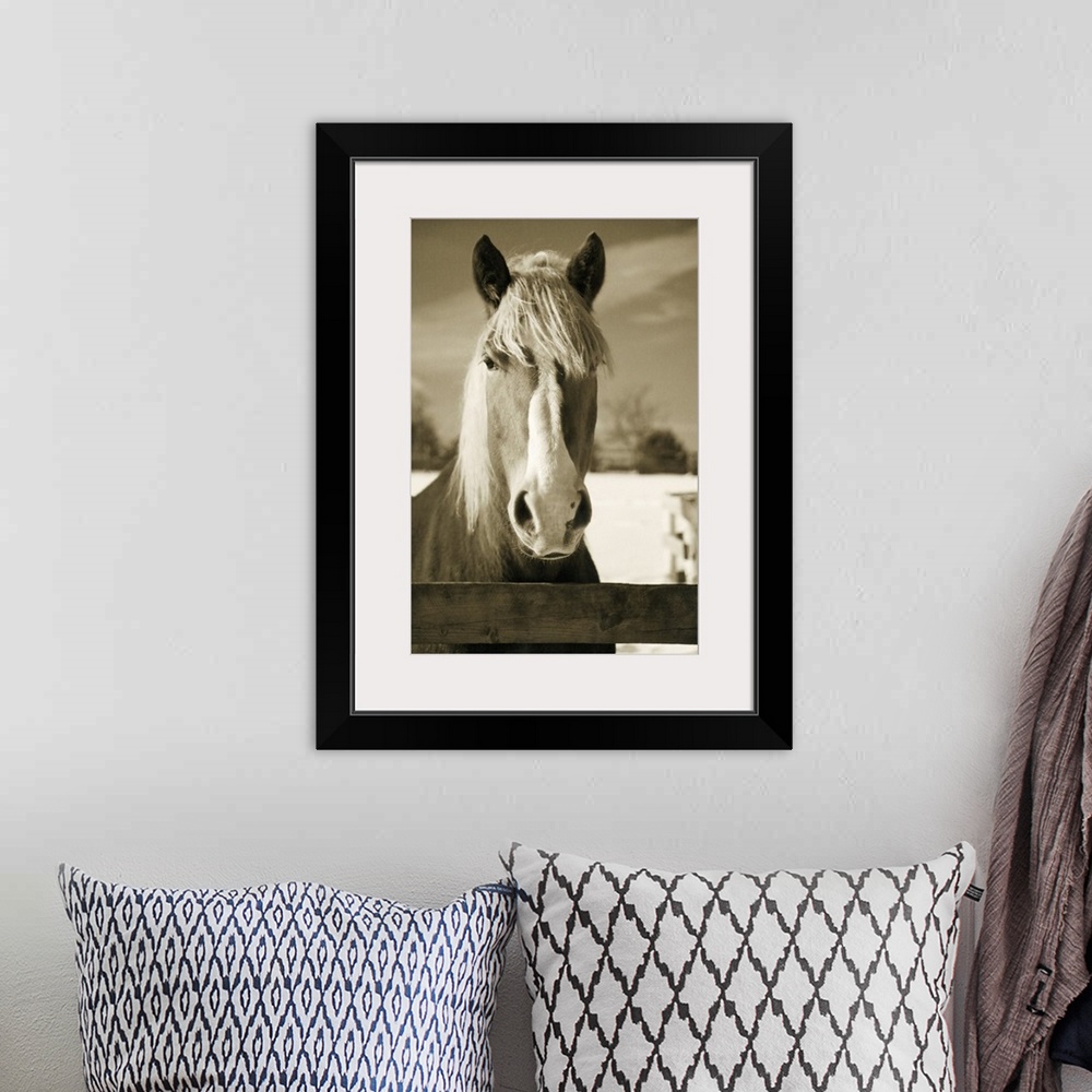 A bohemian room featuring Sepia toned photograph of a horse behind a fence.