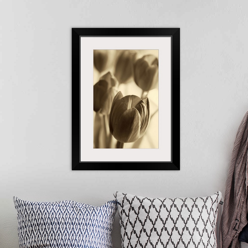 A bohemian room featuring Sepia toned photograph of tulips close-up.