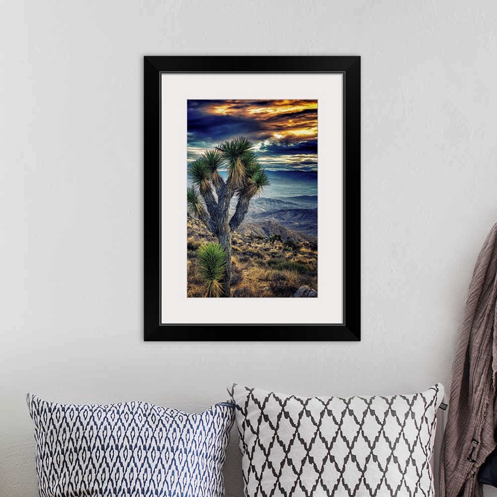 A bohemian room featuring A photograph of a Joshua tree in the Joshua Tree national park.