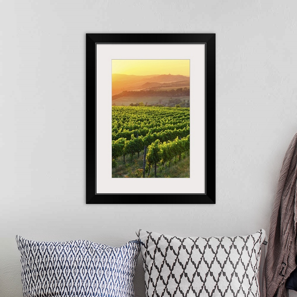 A bohemian room featuring Italy, Umbria, Todi, Vineyards near Todi at sunset