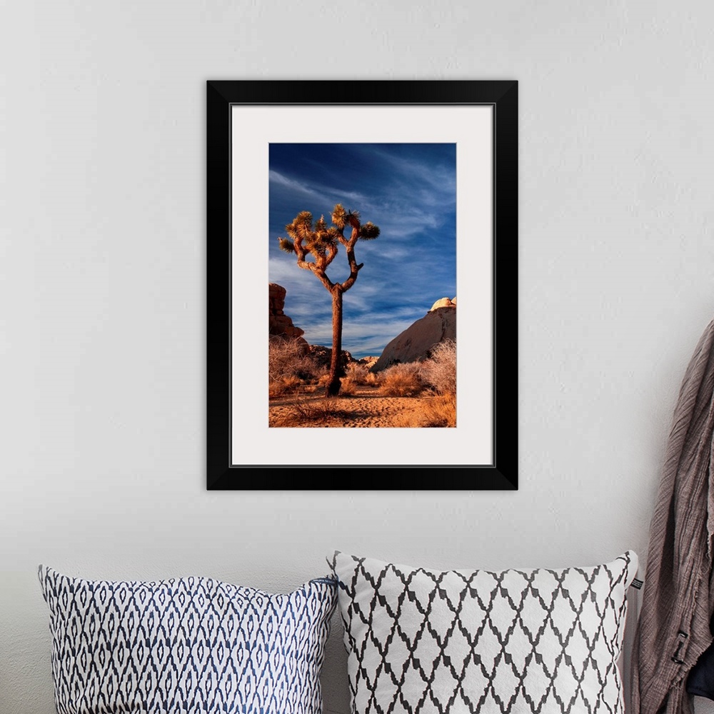 A bohemian room featuring A lonely Joshua Tree at sunset in Joshua Tree National Park.