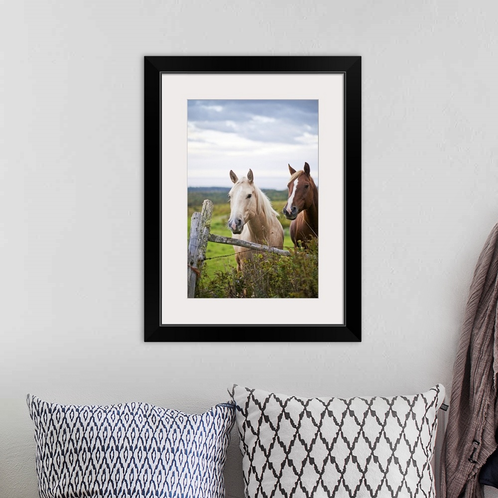A bohemian room featuring This vertical piece is a photograph taken of two horses as they stand behind a wooden fence. The ...