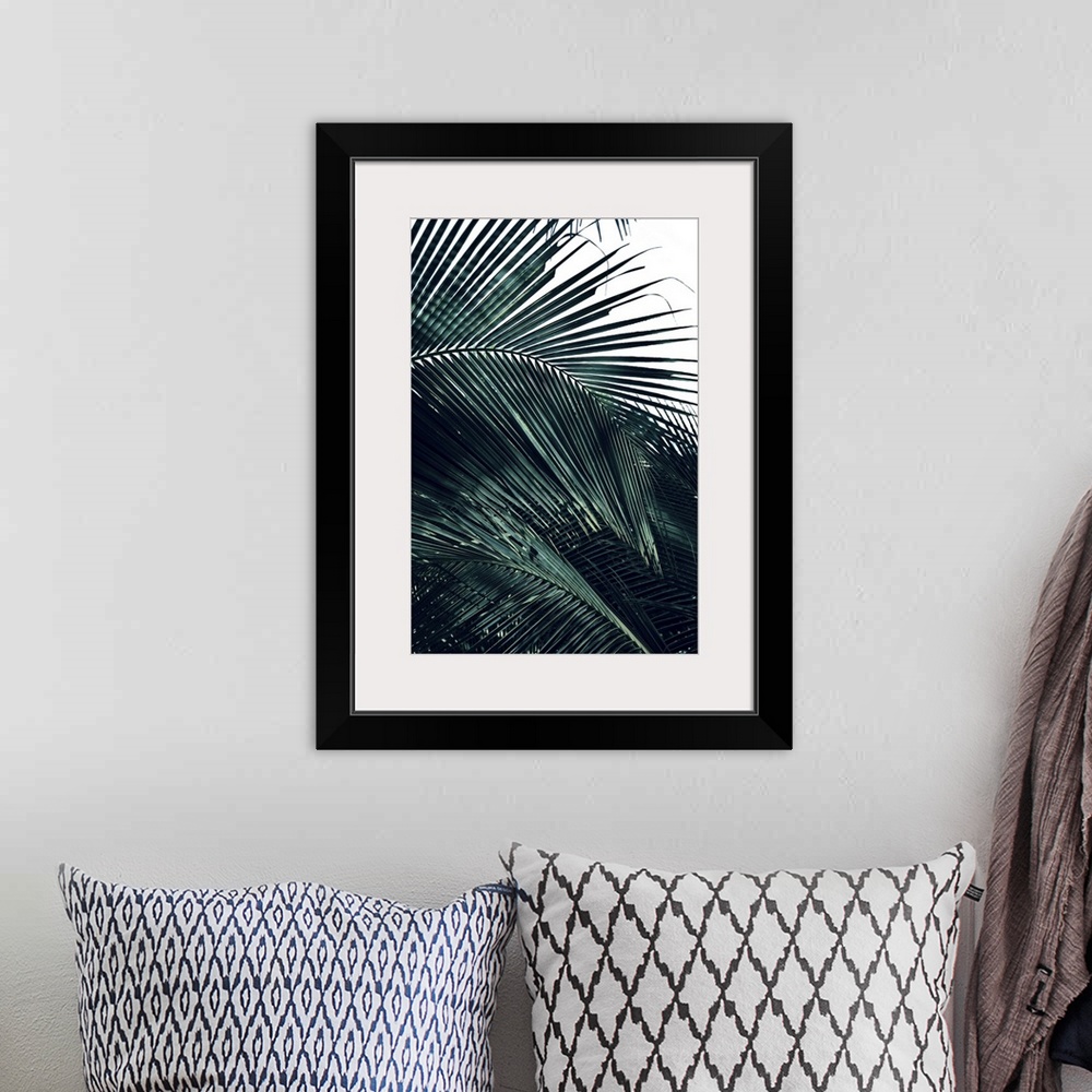 A bohemian room featuring Photograph of close up palm leaves, highlighting the texture, with a blown out background.