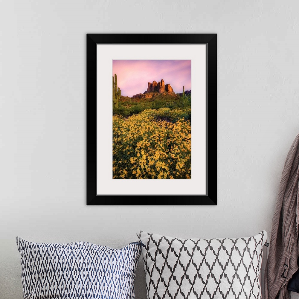 A bohemian room featuring Gorgeous Morning Sunrise Light on Three Sisters Peak, Lost Dutchmen State Park