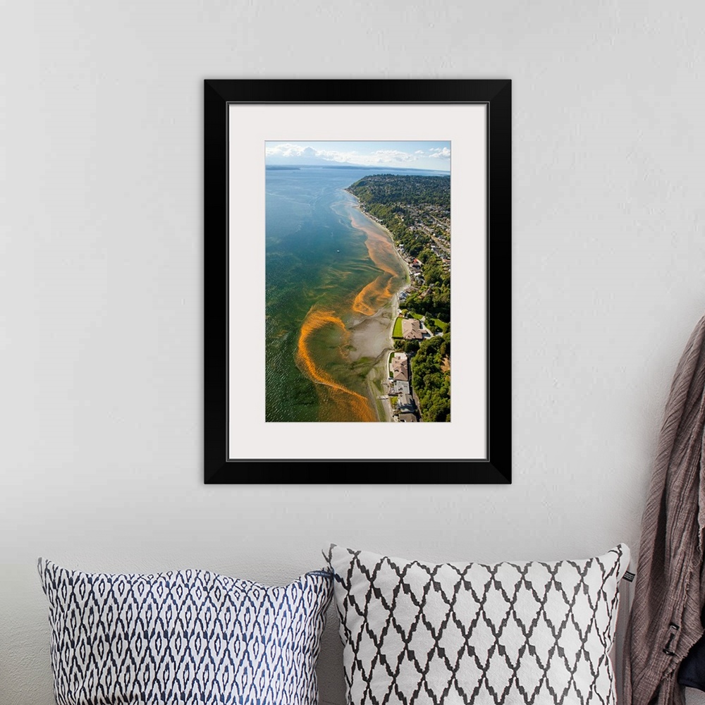 A bohemian room featuring aerial photo of red tide blooms along the Puget Sound shoreline in the Normandy Park area south o...