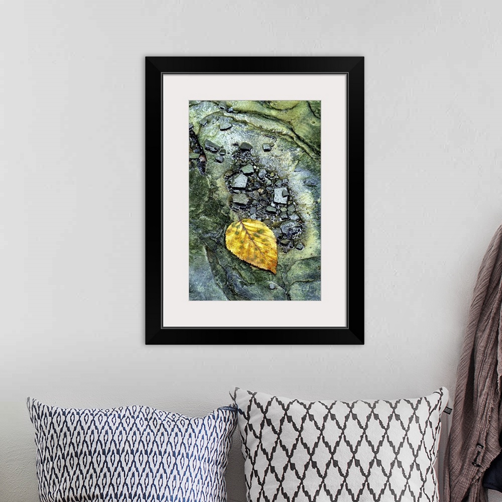 A bohemian room featuring Portrait, close up photograph of a golden leaf surrounded by small rocks in a stream.