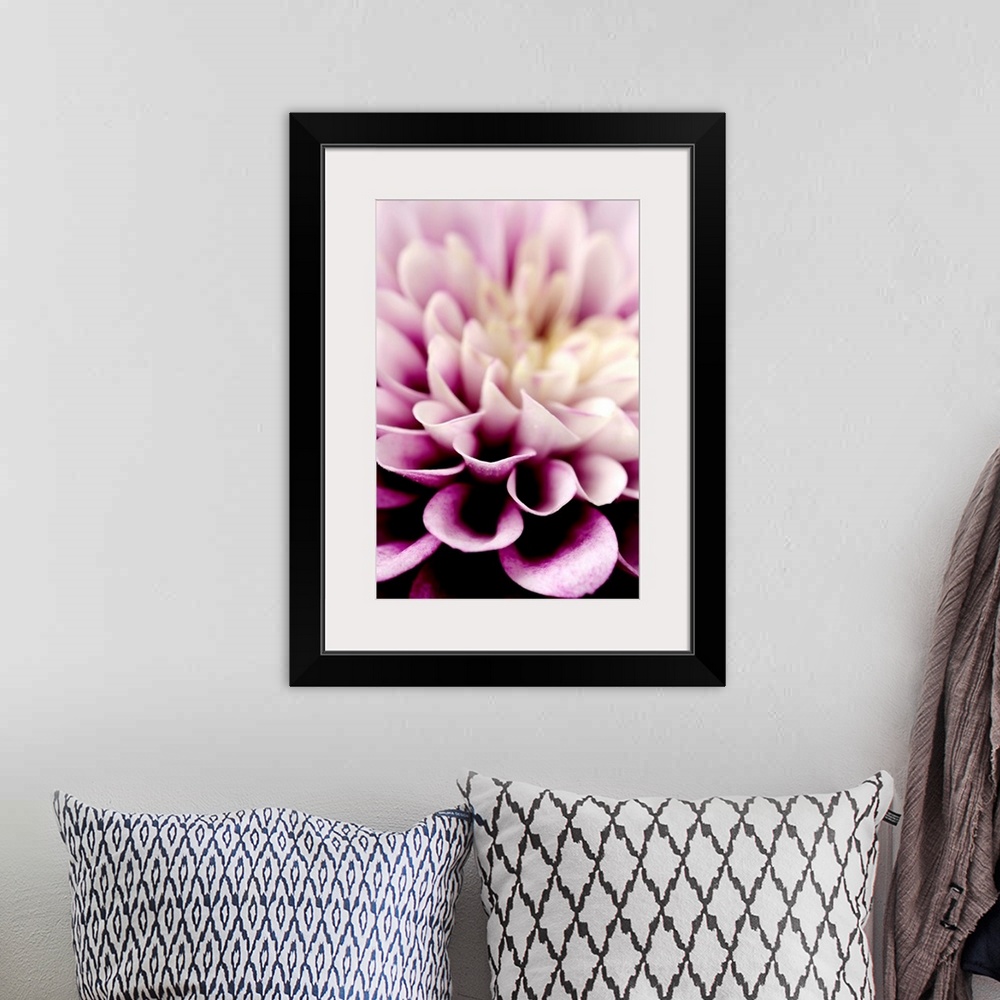 A bohemian room featuring Giant photograph focuses in on the detailed petals of a dahlia flower.  The sharp focus on the pe...