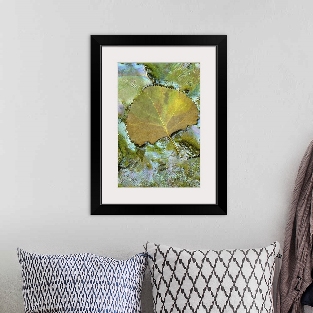 A bohemian room featuring This is a vertical photograph of a leaf resting on the surface of a frozen pond.