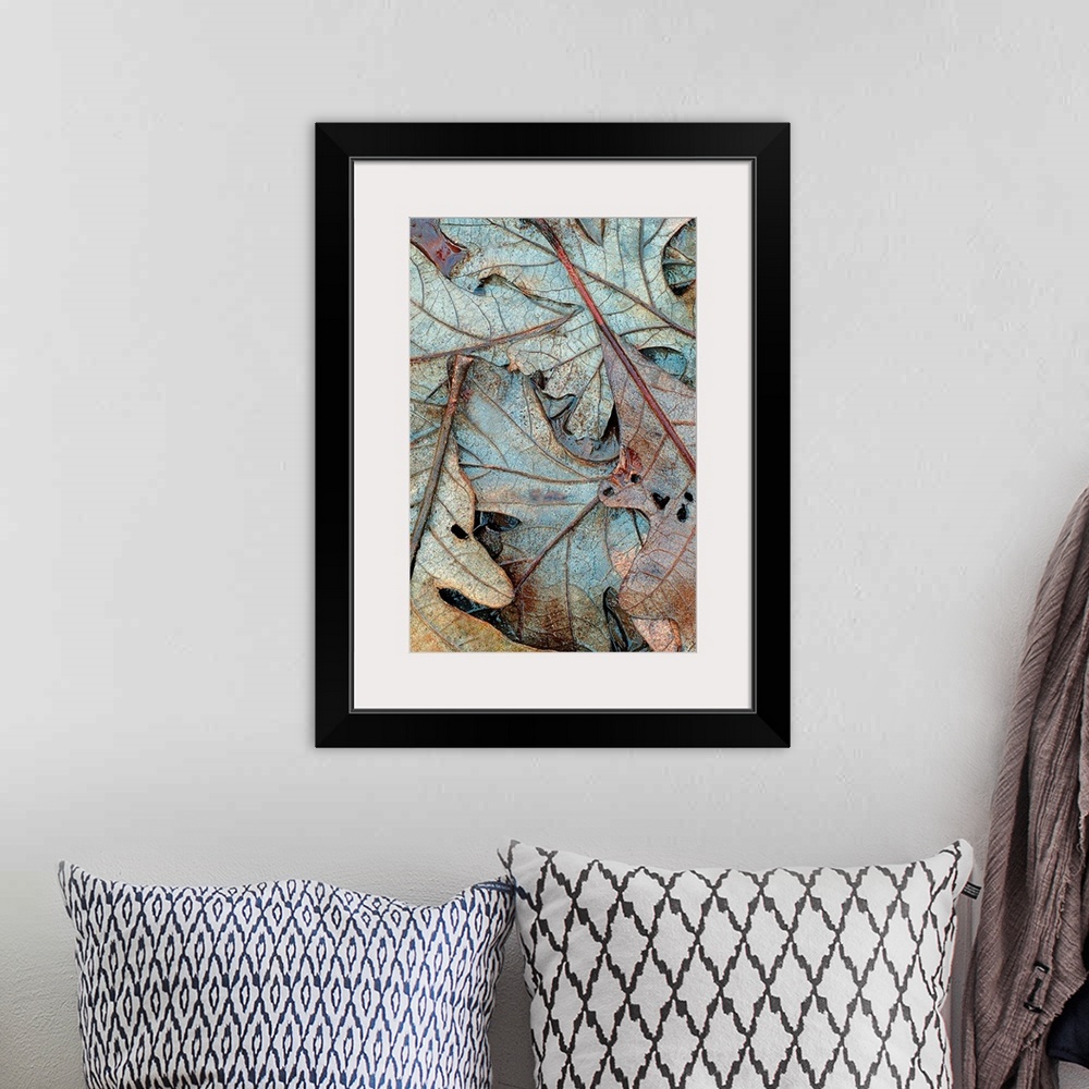 A bohemian room featuring Up-close vertical panoramic photograph of soaked leaves showing their outline and veins.