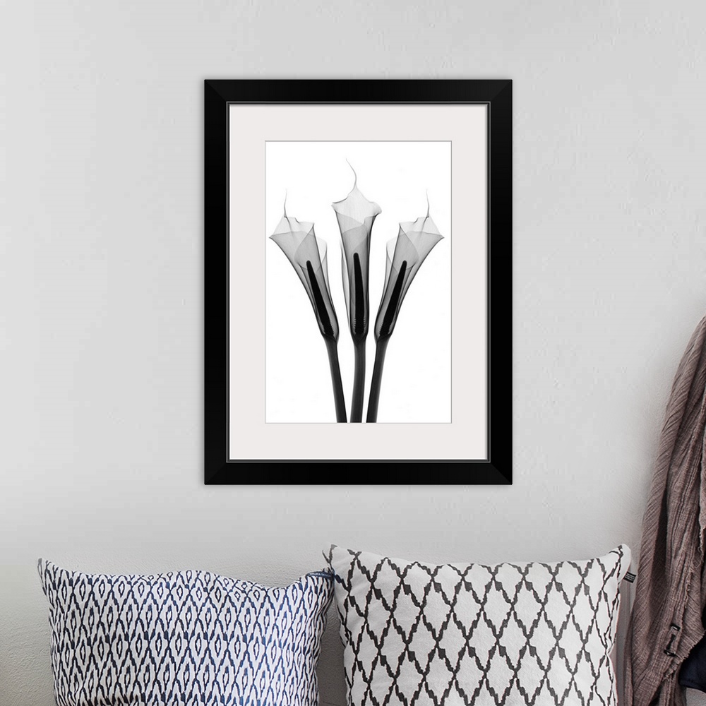 A bohemian room featuring Fine art photograph using an x-ray effect to capture an ethereal-like image of calla lilies.